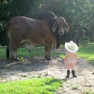 Meet your Posher, Darius